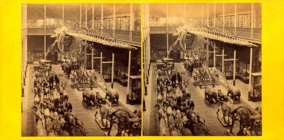 35 - H Gordon - Art and Science Museum Edinburgh 2.jpg